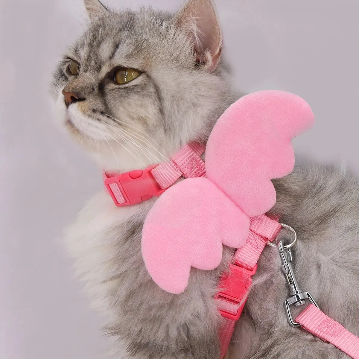 Wings Pet Harness and Handle Set for Cats and Small Dogs