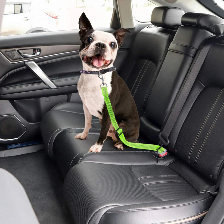 Pet supplies car seat belts.