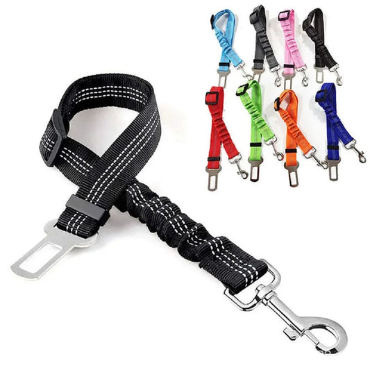 Dog Car Seat Belt Car.