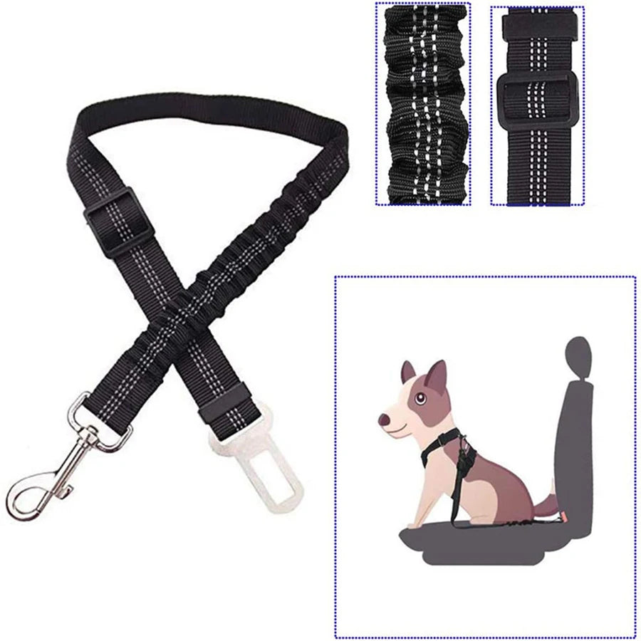 Pet supplies car seat belts.