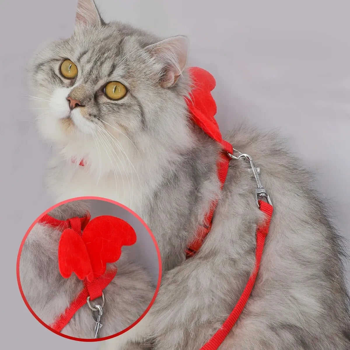 Wings Pet Harness and Handle Set for Cats and Small Dogs