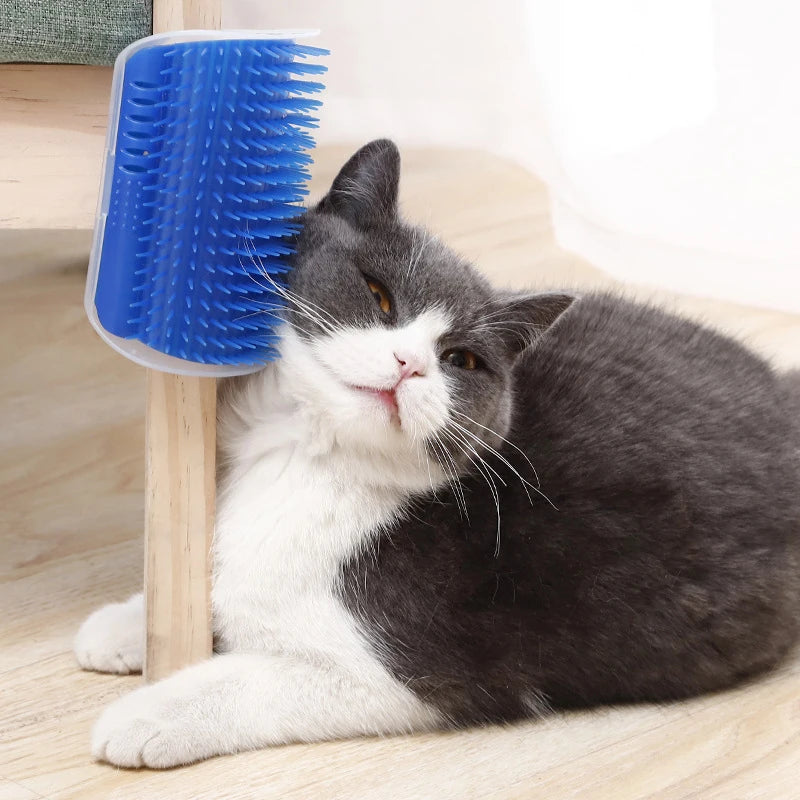 2/1PCS Pet Brush Comb Play Cat Toy