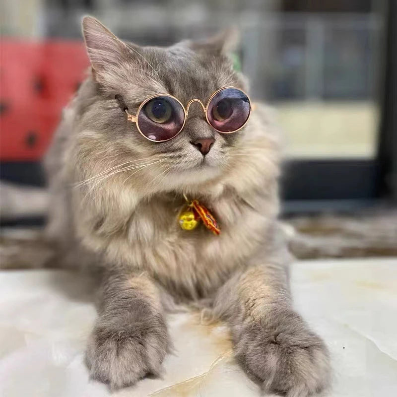 glasses For Small Dog Cat Pet.